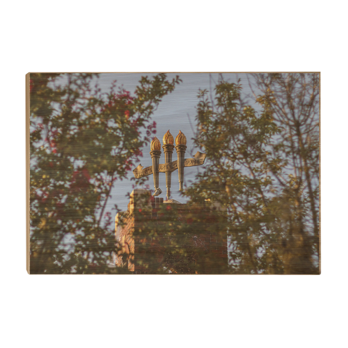 05fe777d545cef932e01bed6c1bc5744.png