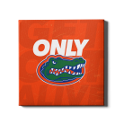 276c9c6bdfb172fc00382f9c83f1e723.png