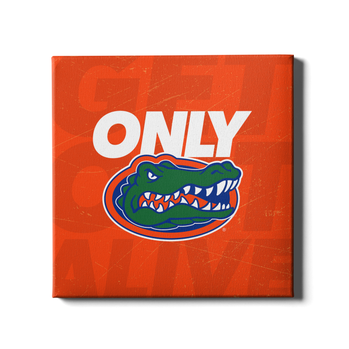 276c9c6bdfb172fc00382f9c83f1e723.png