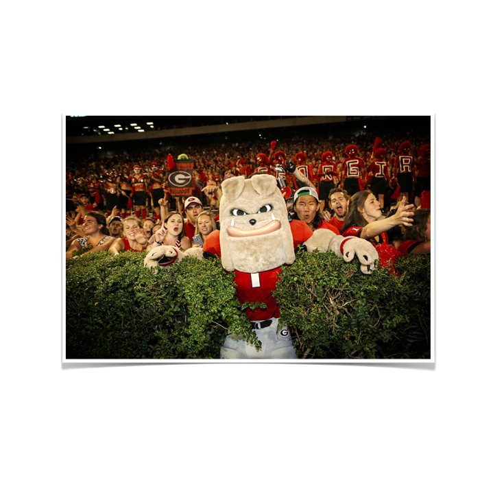 29d001f2b6b51f5bf468c8c3d07bbfca.png