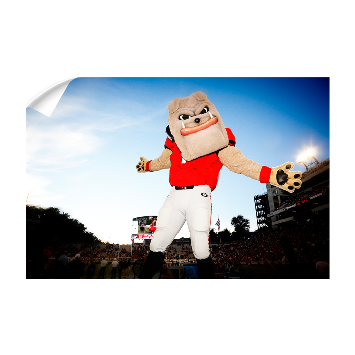 3c17e19097be4115765d6c4bce3a11a0.png