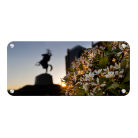 448cf59a3559464de20a26b9f7c4ec3a.png