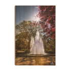 539d361040b46ce99a31bc0a970c9f00.png
