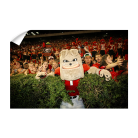 59e3abd2f33f5dae2cfba190fc2bbb27.png