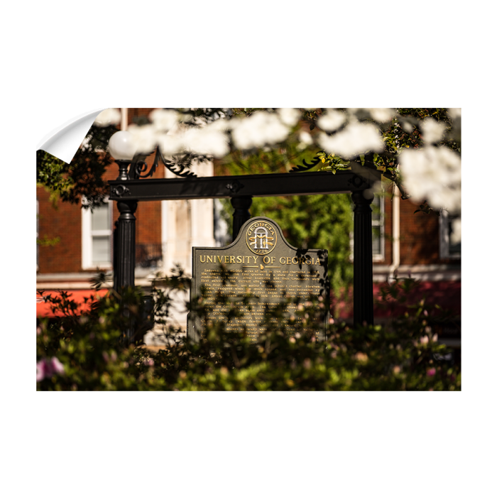 7c4d49237b072e368d05424db0658cc2.png