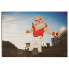 7fbffe8a6ac0c747d36ed88c58ddf31b.png