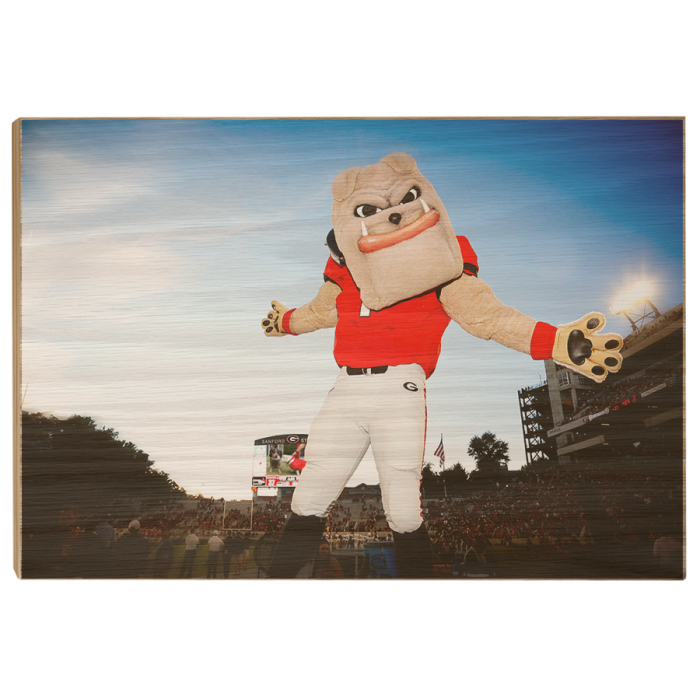 7fbffe8a6ac0c747d36ed88c58ddf31b.png