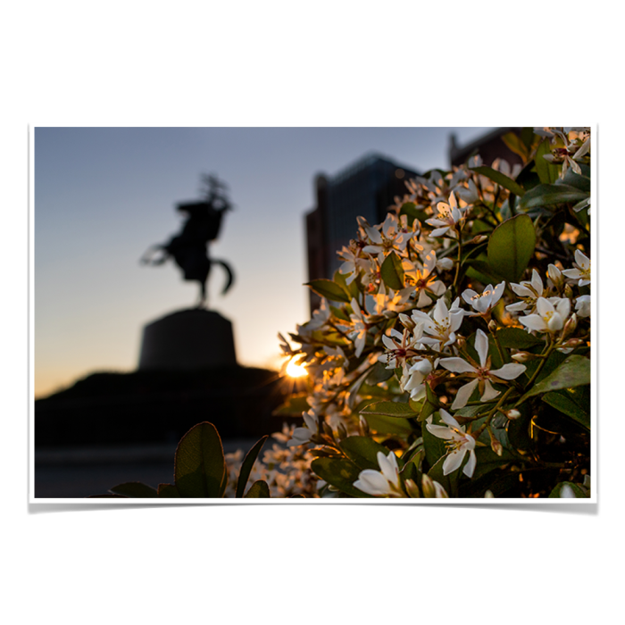 a0371eb06ec6408a28e04e19a525055a.png