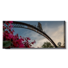 ad4a8aaf2d03199989b59b9c10f5542c.png