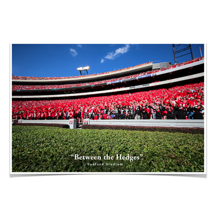 af5a889bb90f1c7335b3ced4340ebde3.png