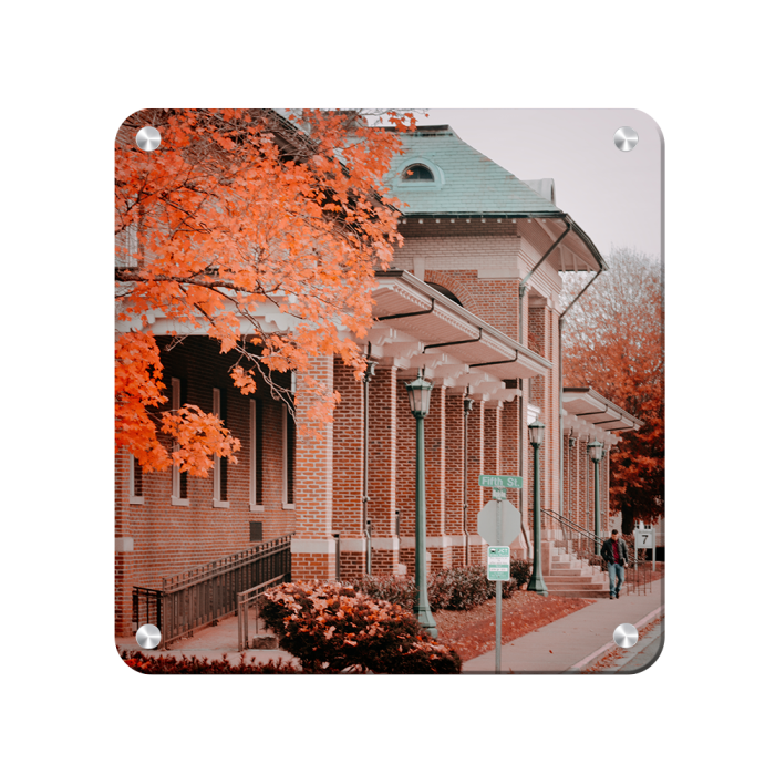 b8d42240a125dc056e7bdb9c95b2e53c.png