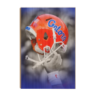 bb1ea93caa33a903a6b951a0b2344d52.png