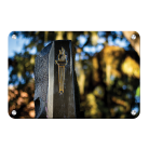 c400a4d7537c3a304295cc89638aead9.png