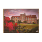 c6f537668772af31c103c2da6a41472e.png