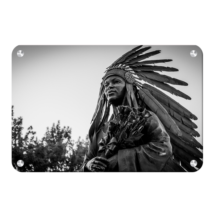 c851471d738727c3ef0618636544cb94.png