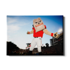 cbb1e8094c4fe4cf2a2d8f0020d85513.png