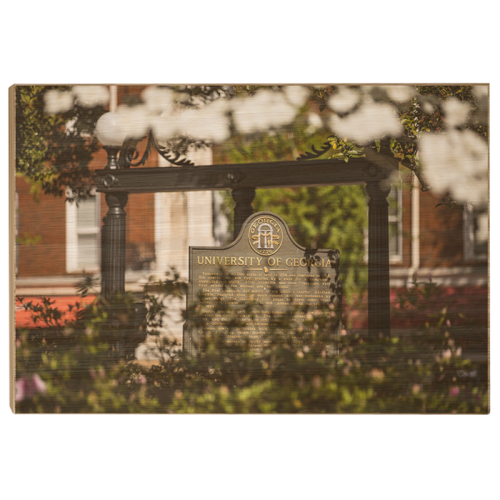 cbb2f036561fe3a48b6963e03a037c02.png