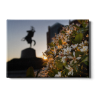 db7d3203cb7a3fb708e13647be5a342d.png