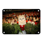 eb2426529bce4c40d500ee2cc14a922c.png
