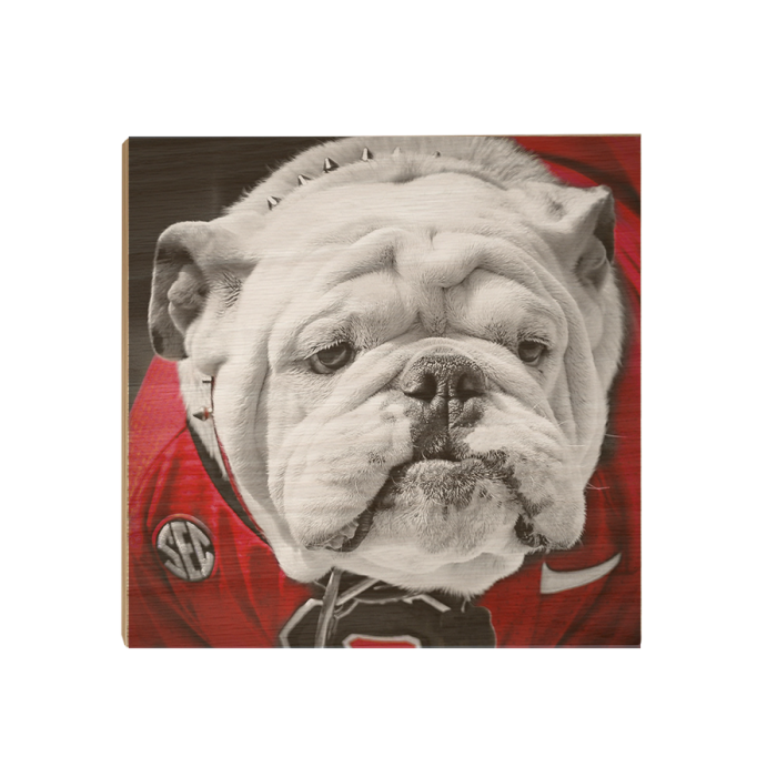 eb70854b5609449b9091ebbb19deae53.png