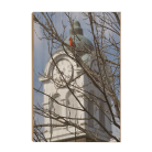 1fcff6019fca35fc1517ccd252337e6c.png