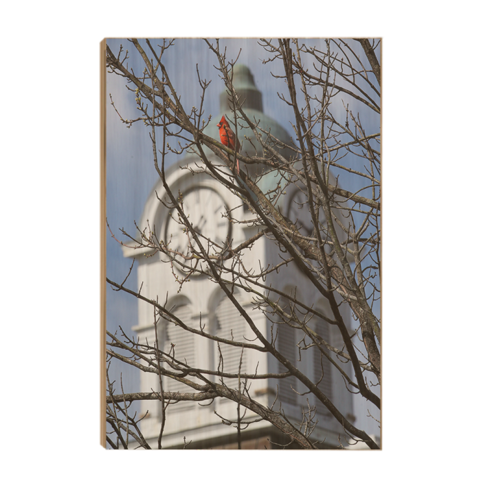 1fcff6019fca35fc1517ccd252337e6c.png