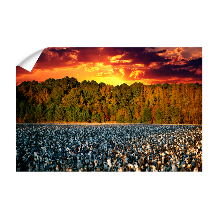 5d1faa28703f7db9c7aa58e8c12ed339.png
