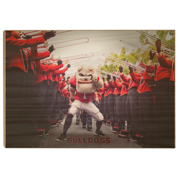 5d352dc3ed3d6f123d297f22ce677171.png