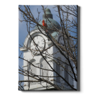 a03909cdf9b0acfcd383005947d61cf7.png