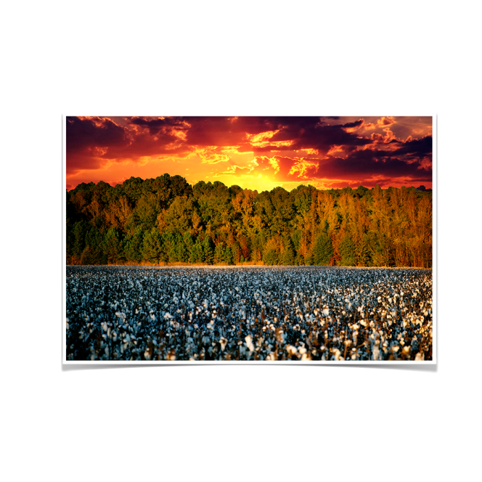 e76d0eb6fd6f47cb9ed6637550aa3954.png