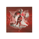 fdde61986827499a155201c733f59844.png
