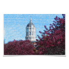 51cdf35c2437ad5ec7e10b85c492df84.png