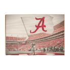 c42033cae2b24a43a73d98f170708729.png