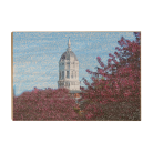 d05568a09d9ec280129805cb3de29995.png